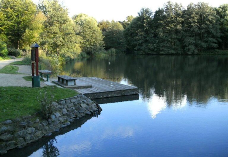 Bresgespark – Renaturierung Niersverlauf