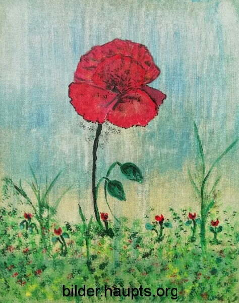 Blumenwiese