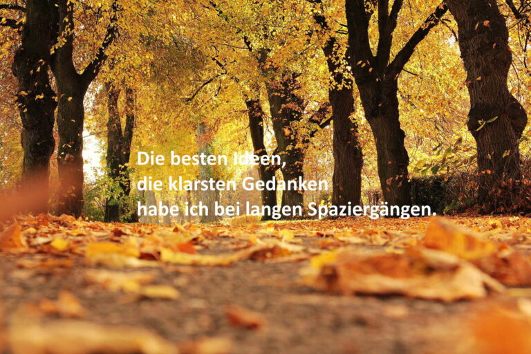 waldspaziergang2