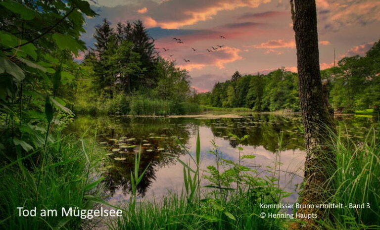 tod am mueggelsee web 1
