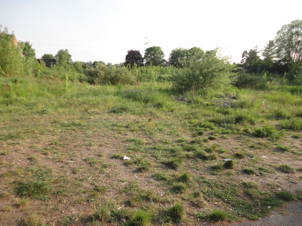 220509 Sportanlage Dohr Torfbend 1
