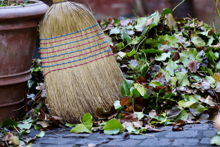 Herbstlaub: Wann Fegen Pflicht ist