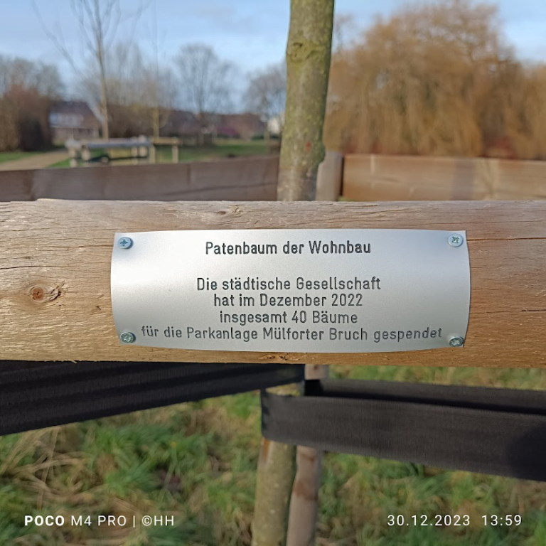 Für Mülfort werden 40 Bäume gepflanzt.