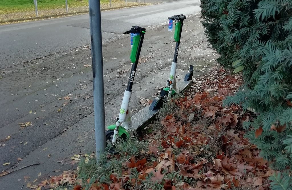 Mulforter Bruch Niersgrunzug E Scooter 07