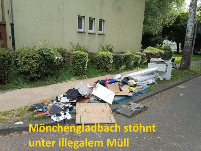 illegaler muell web