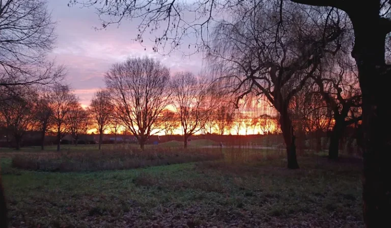 Mülforter Bruch Sonnenaufgang