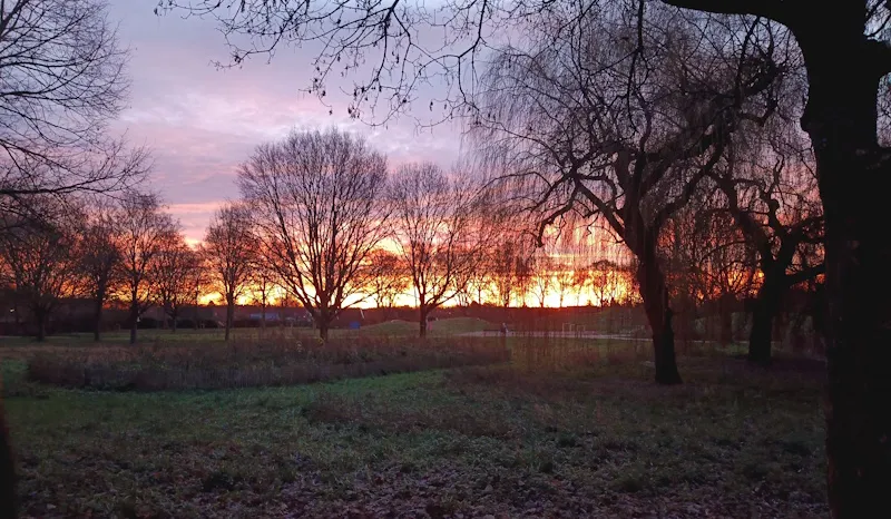 Mülforter Bruch Sonnenaufgang