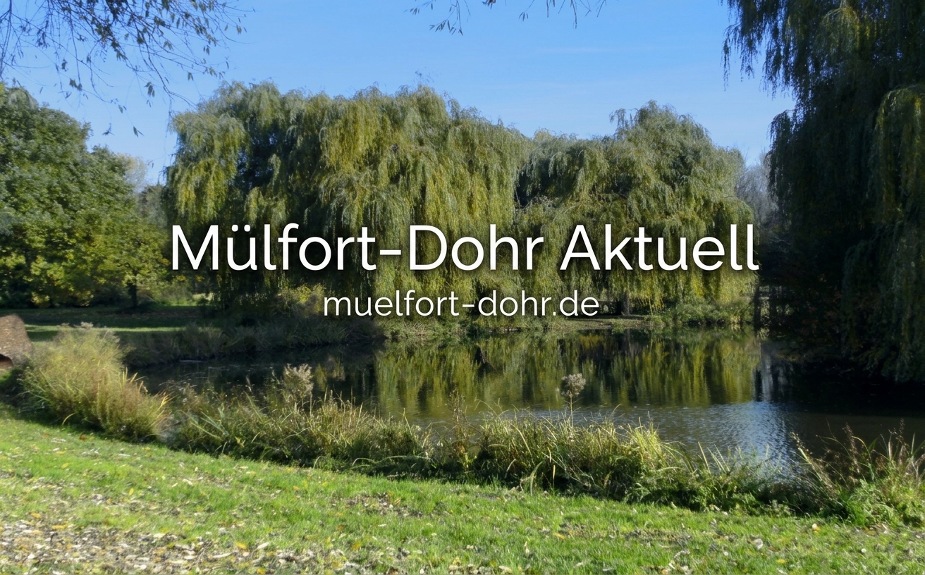 muelfort dohr de